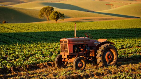 Les avantages d'opter pour un micro tracteur d'occasion